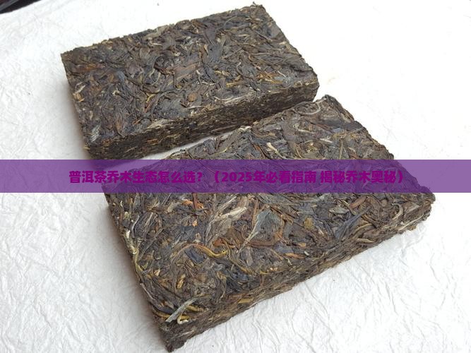 普洱茶乔木生态