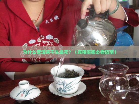 普洱茶为什么不生金花