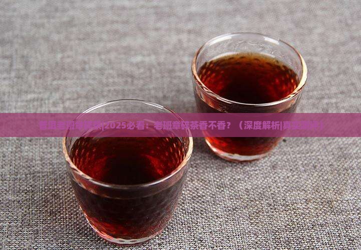 普洱老班章碎茶