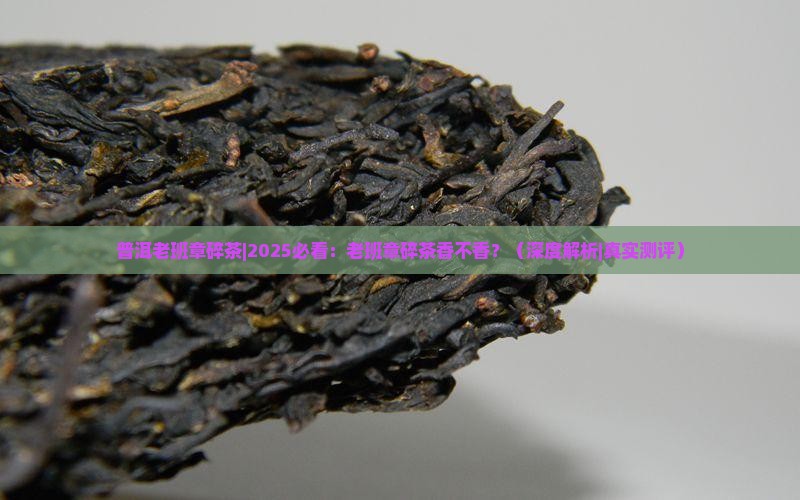 普洱老班章碎茶