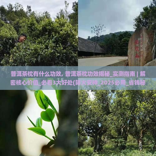 普洱茶枕有什么功效