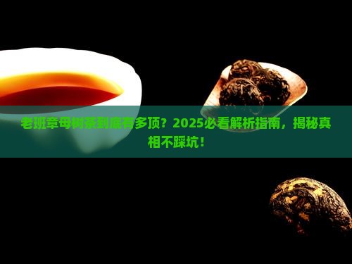 老班章母树茶什么意思