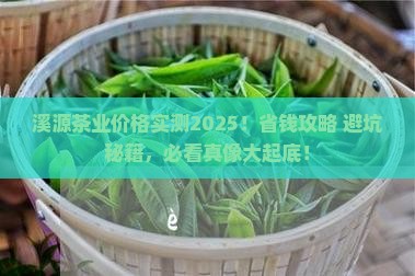 溪源茶业的价格