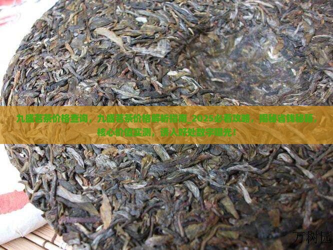 九盛茗茶价格查询