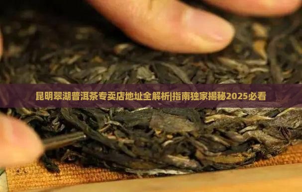 昆明翠湖普洱茶专卖店地址
