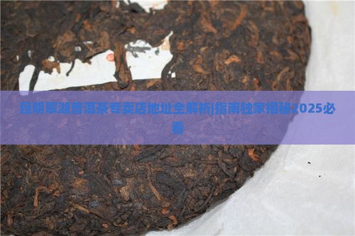 昆明翠湖普洱茶专卖店地址