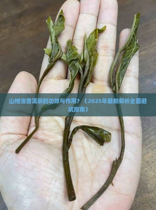 山楂泡普洱茶的功效与作用