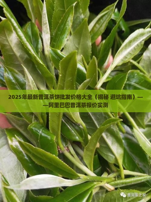 莆田高端普洱茶饼价格多少