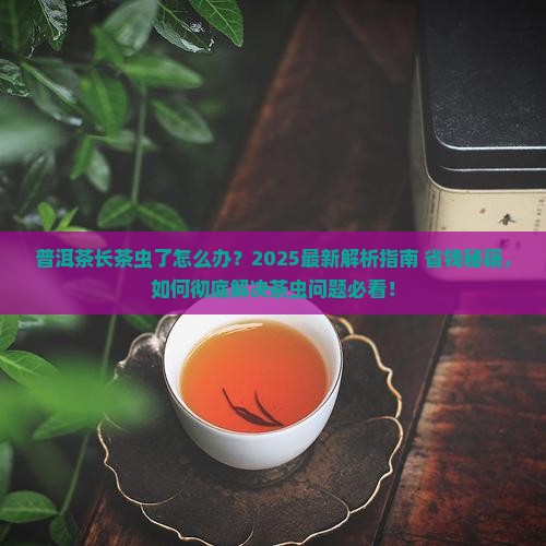 普洱茶长茶虫了怎么解决