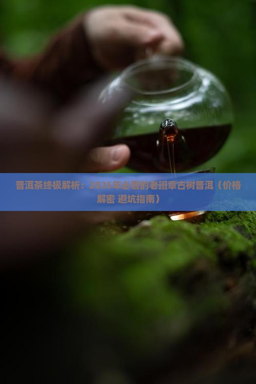 普育2007年老班章古茶