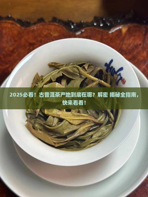 古普洱茶产地在哪里啊 古普洱茶产地在哪里啊