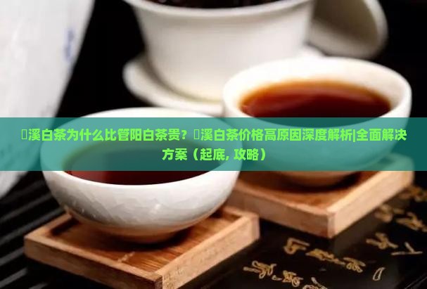磻溪白茶为什么比管阳白茶贵