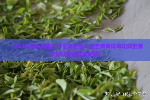 下巴长痘痘喝什么茶可以解毒排抑