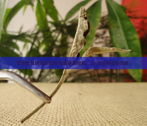 节后普洱茶消食去腻