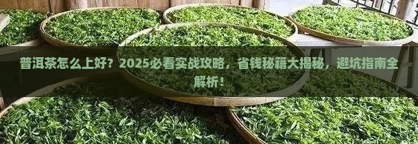 普洱茶怎么上好