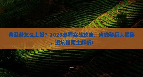 普洱茶怎么上好