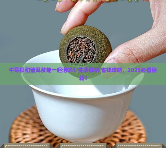 牛蒡根和普洱茶能一起泡吗