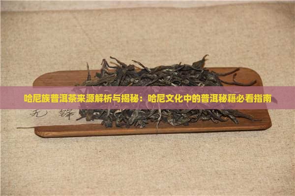 哈尼族普洱茶来源