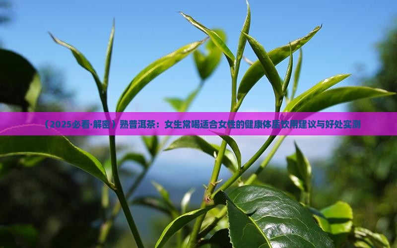 熟普洱茶女生常喝