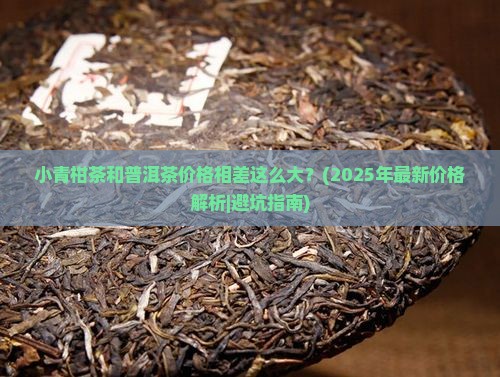 小青柑茶普洱茶价格