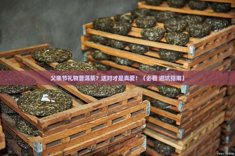 父亲节礼物普洱茶