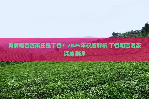胃病喝普洱茶还是丁香