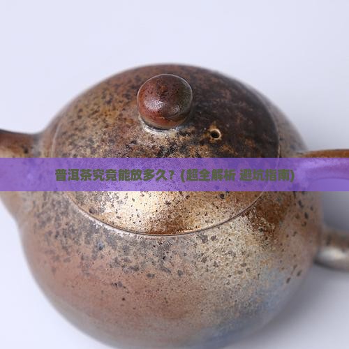 能放多久的普洱茶