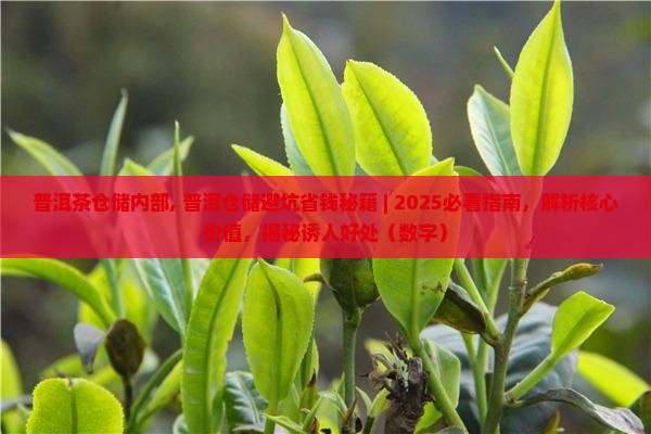 普洱茶仓储内部