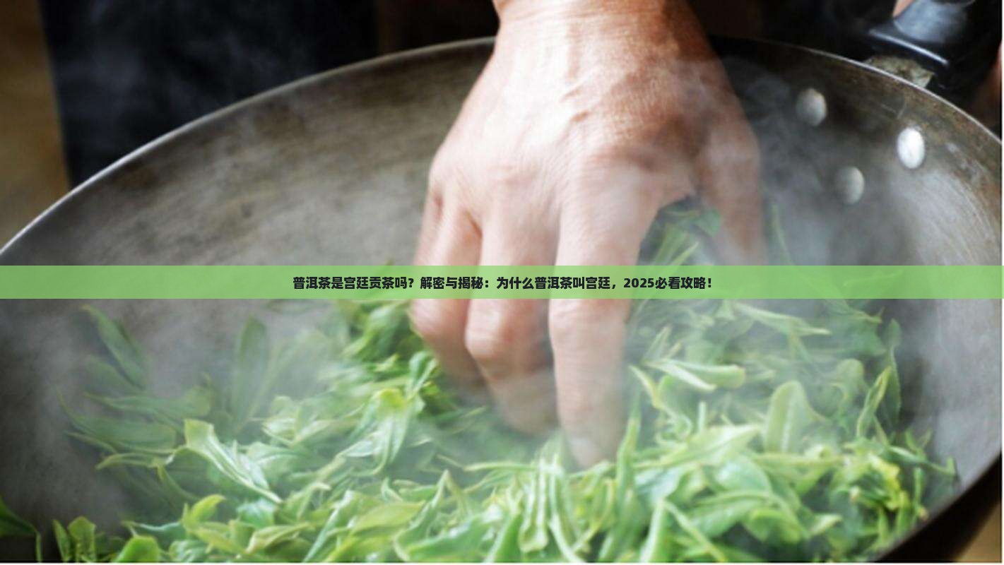 普洱茶是宫廷贡茶吗