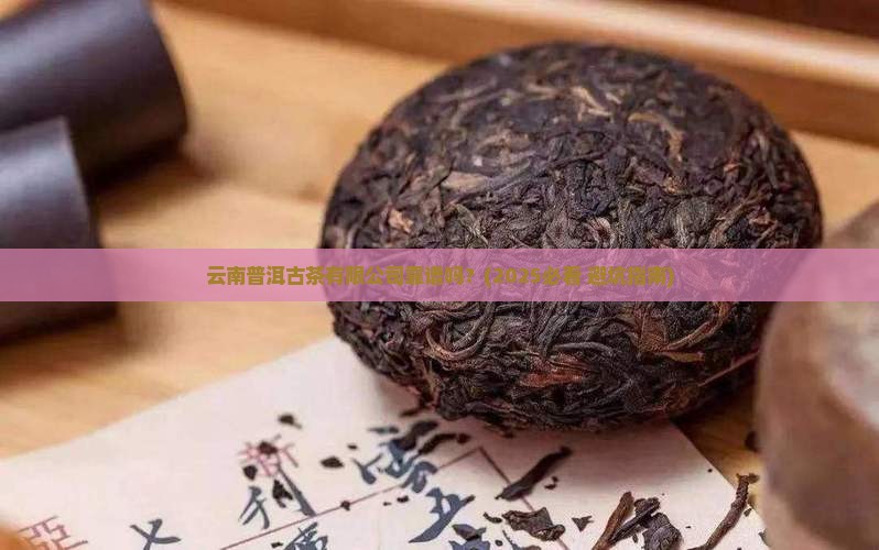 云南普洱古茶有限公司