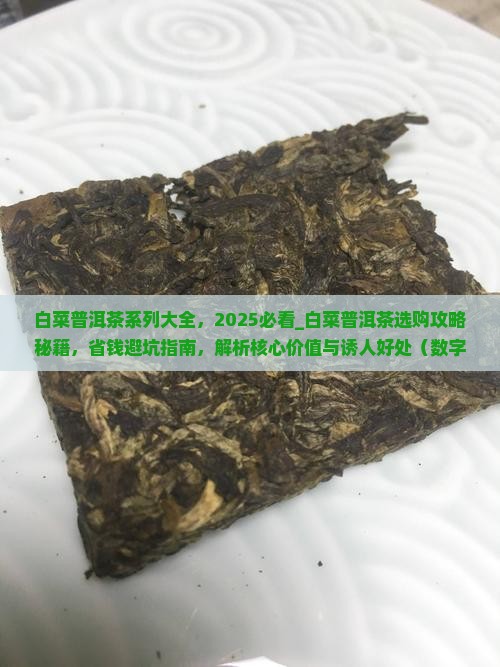 白菜普洱茶系列大全