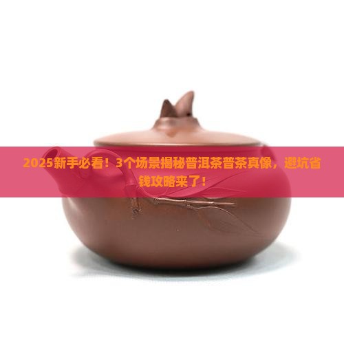 茶叶普洱茶普茶