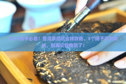 普洱茶买哪个牌子不走坑