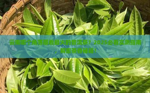 云南什么地方普洱茶最出名