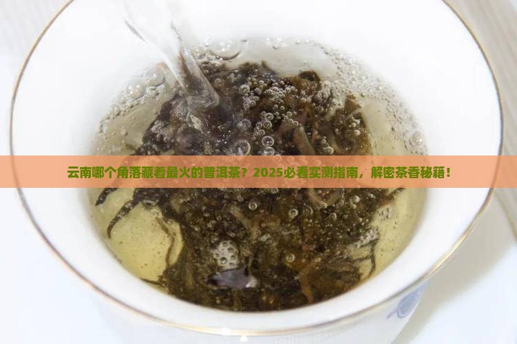 云南什么地方普洱茶最出名