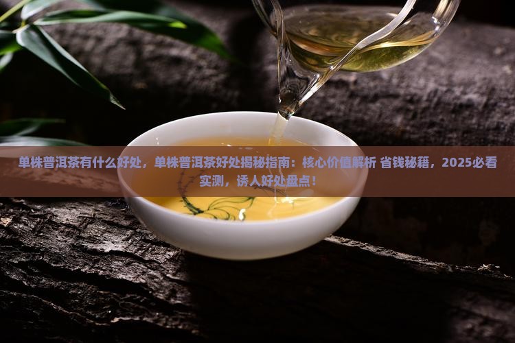 单株普洱茶有什么好处