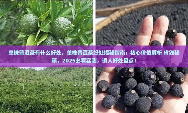 单株普洱茶有什么好处