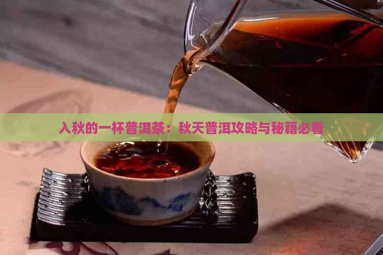 入秋的一杯普洱茶