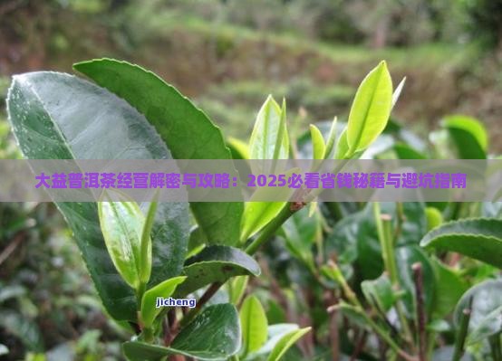 大益普洱茶的经营 大益普洱茶的经营
