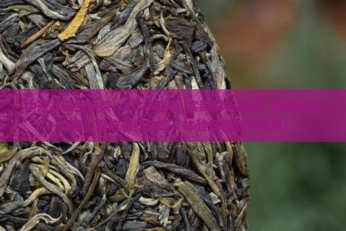 中茶冰岛生饼茶
