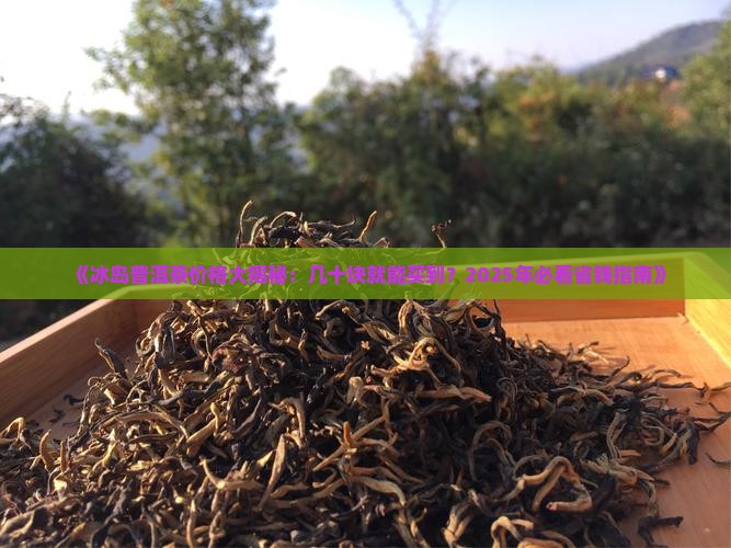 冰岛茶有几十块的吗