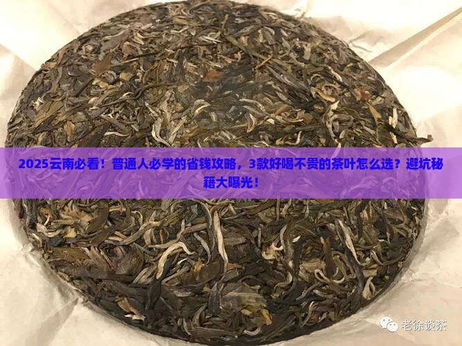 云南哪种茶叶好喝不贵的