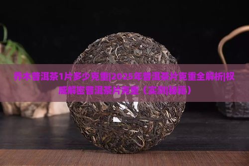 乔木普洱茶1片多少克重