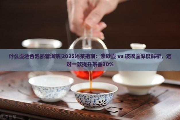 什么壶适合泡熟普洱茶