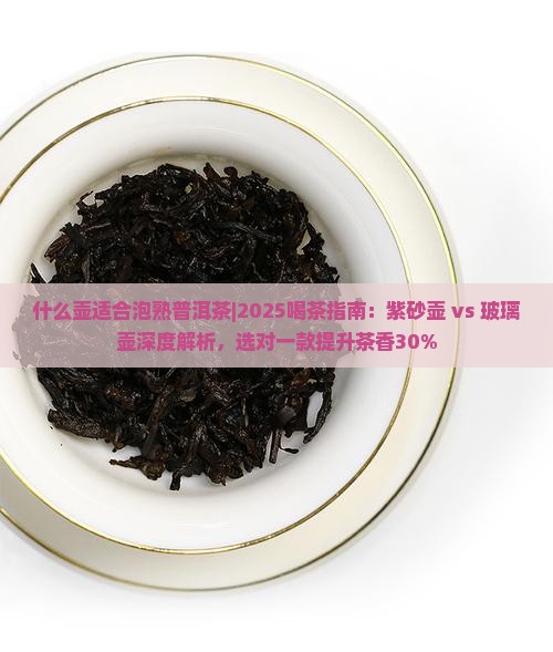 什么壶适合泡熟普洱茶