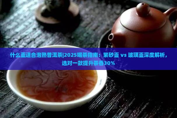 什么壶适合泡熟普洱茶