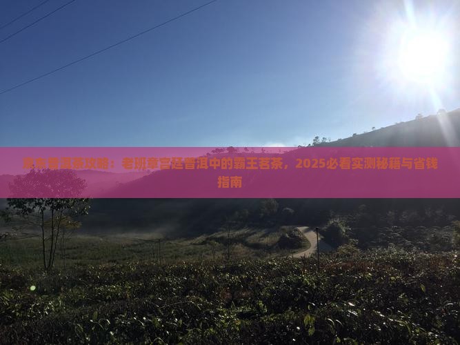 老班章宫廷普洱