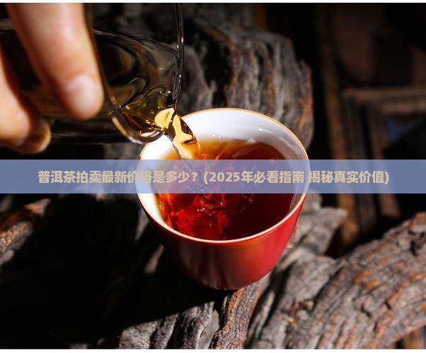 普洱茶拍卖最新价格