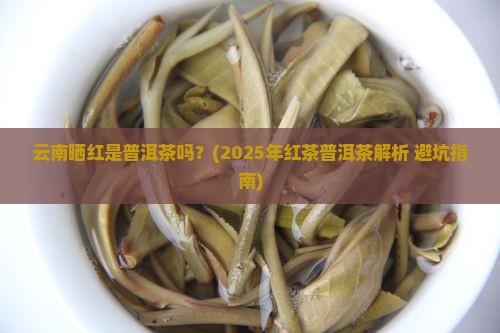云南晒红是普洱茶吗