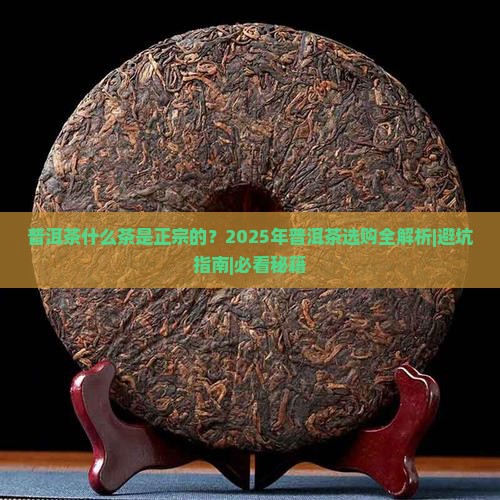 普洱茶什么茶是正宗的